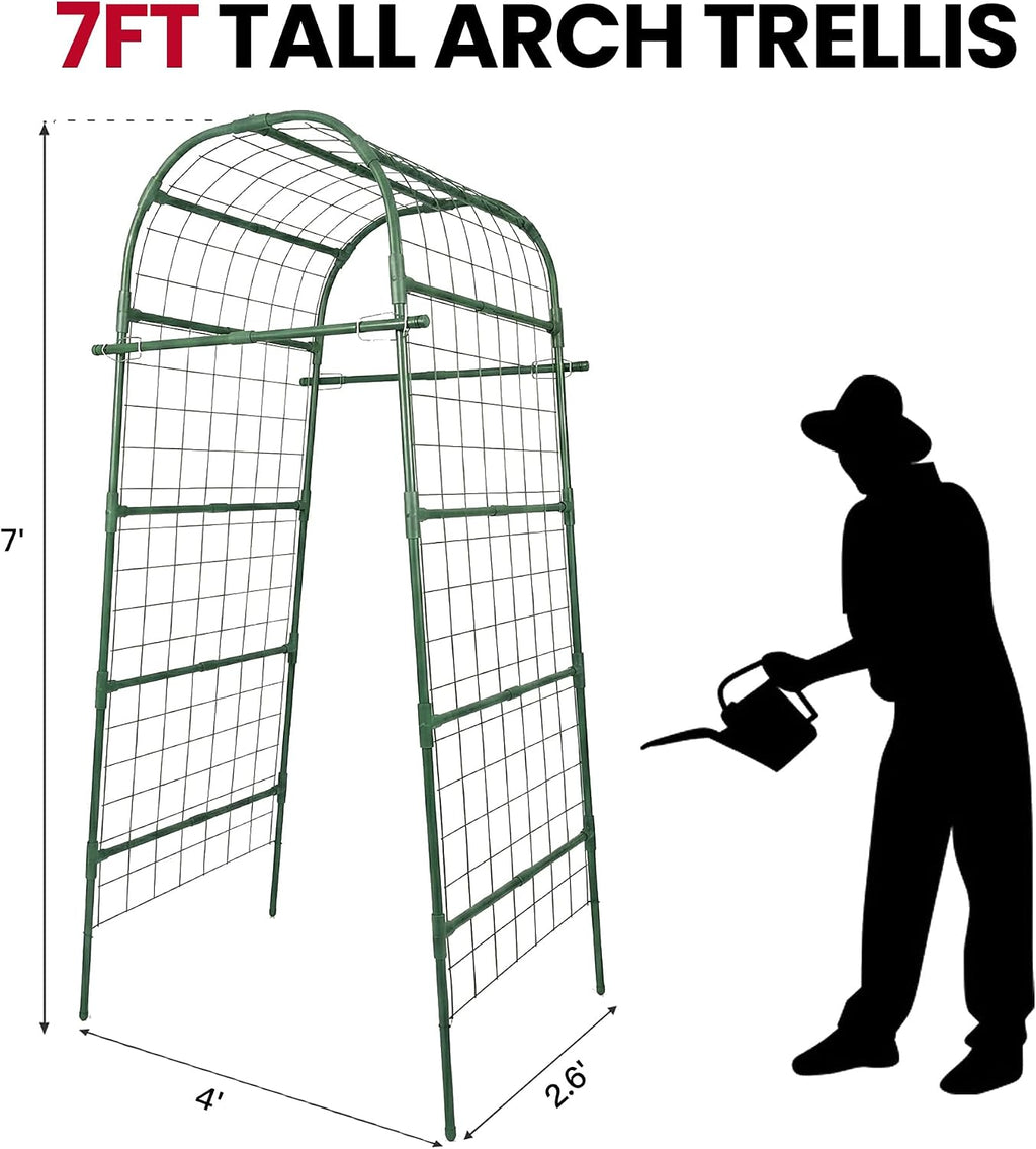 Metal Arch Trellis for Climbing Vegetables