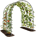 Metal Arch Trellis for Garden Vegetable Vines
