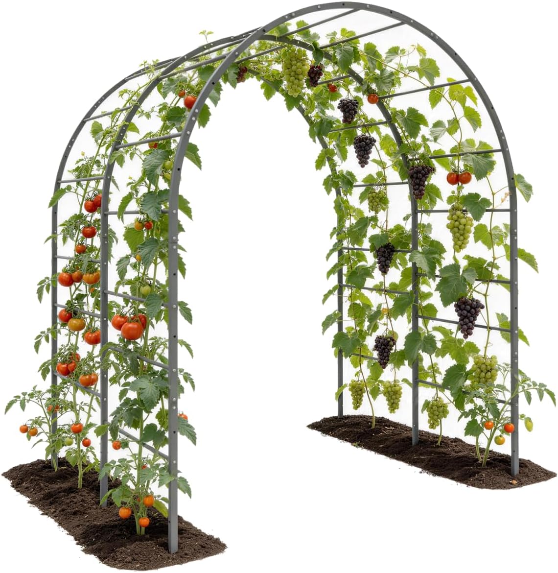 Metal Arch Trellis for Garden Vegetable Vines