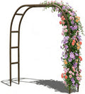 Bronze Metal Garden Plant Climbing Arbor