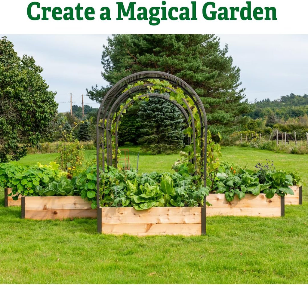 Garden Arch Trellis for Climbing Plants