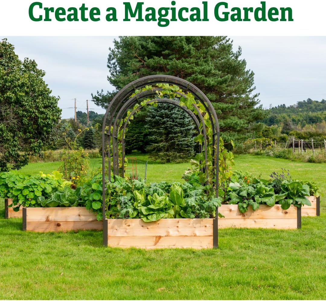 Garden Arch Trellis for Climbing Plants
