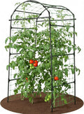 Tall Metal Plant Climbing Garden Arch
