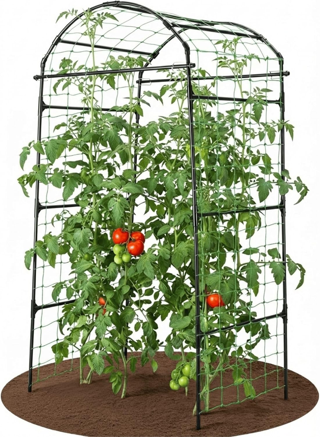 Tall Metal Plant Climbing Garden Arch