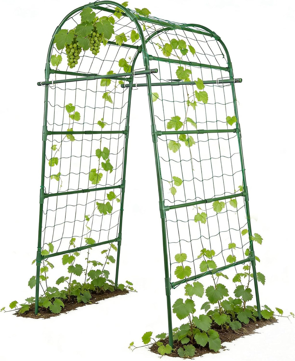Metal Arch Trellis for Climbing Vegetables
