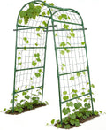 Metal Arch Trellis for Climbing Vegetables