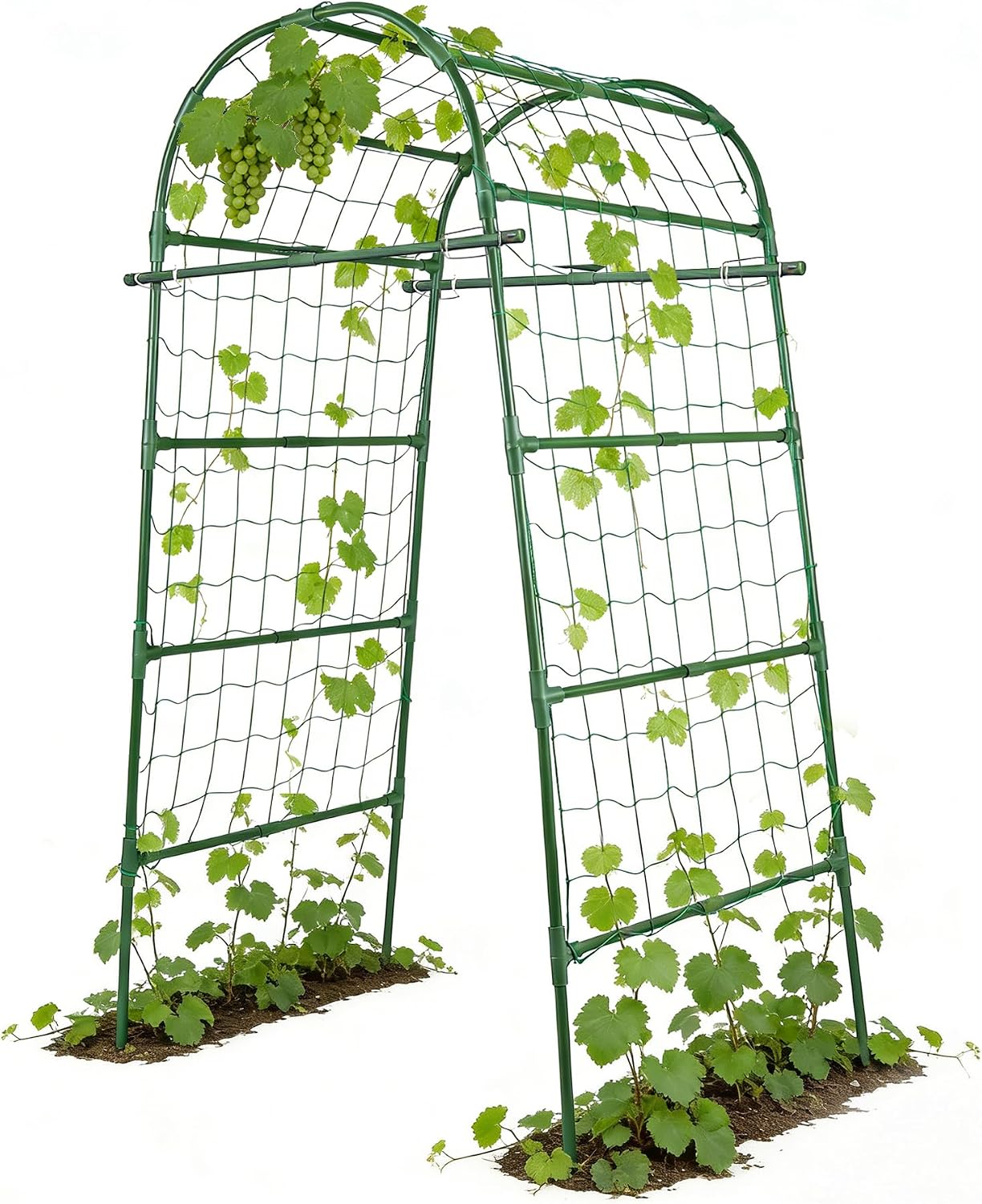 Metal Arch Trellis for Climbing Vegetables
