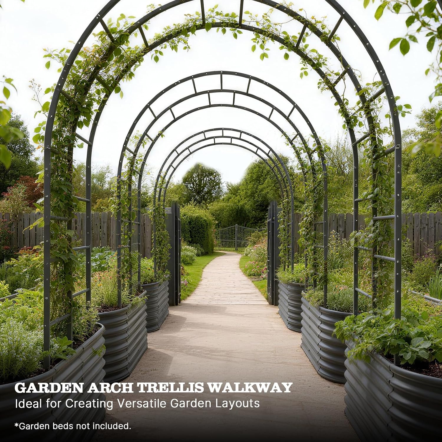 Metal Arch Trellis for Garden Vegetable Vines