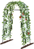 Metal Garden Arch Plant Trellis
