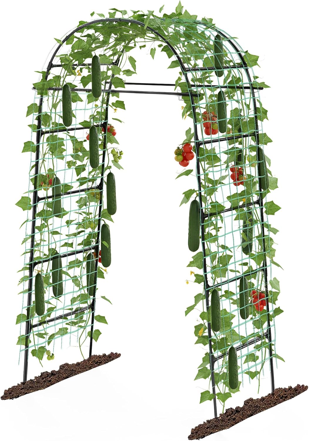 Metal Garden Arch Plant Trellis