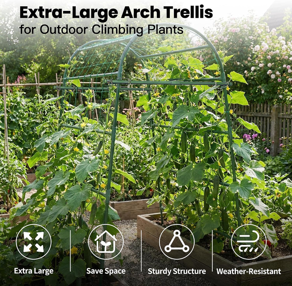 Metal Arch Trellis for Climbing Vegetables