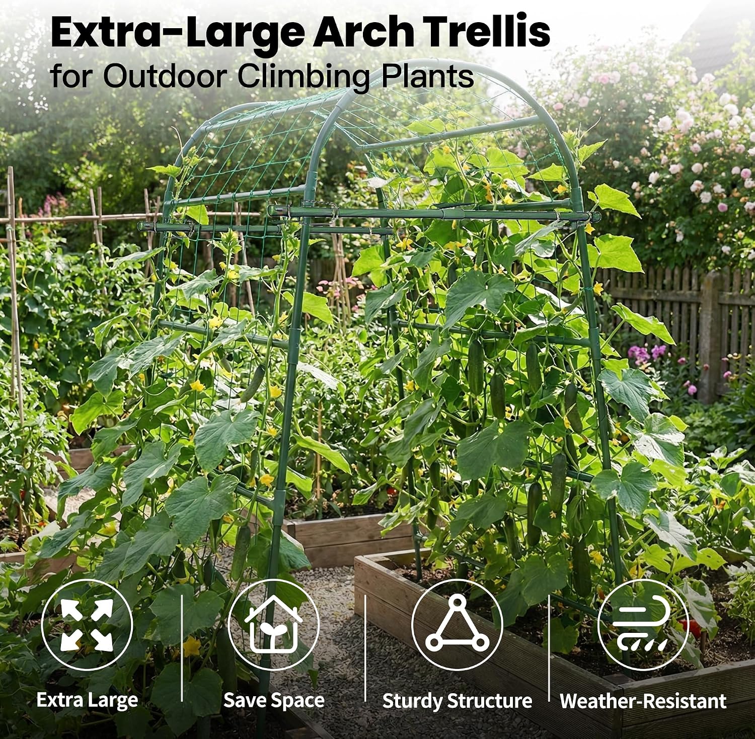 Metal Arch Trellis for Climbing Vegetables