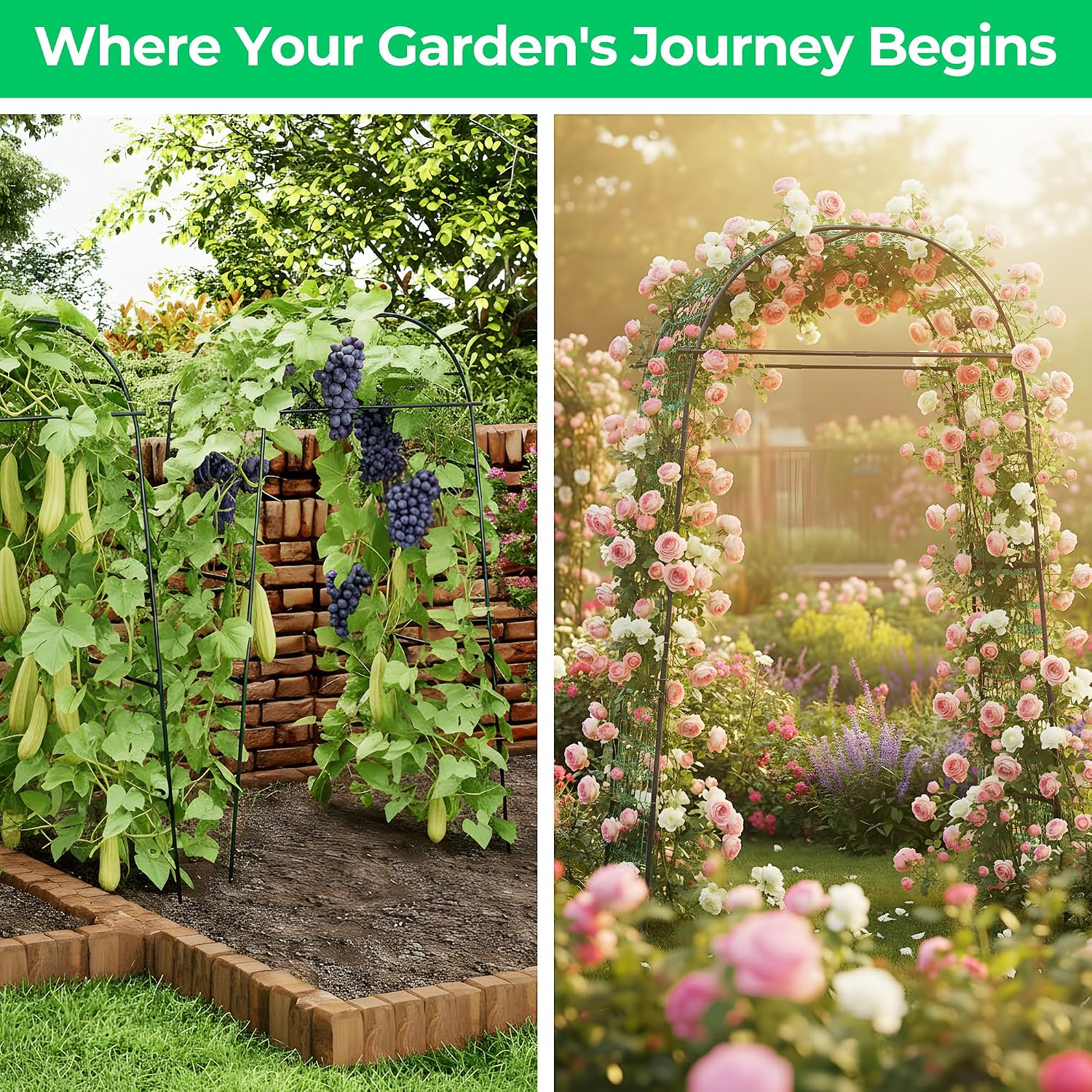 Metal Garden Arch Plant Trellis