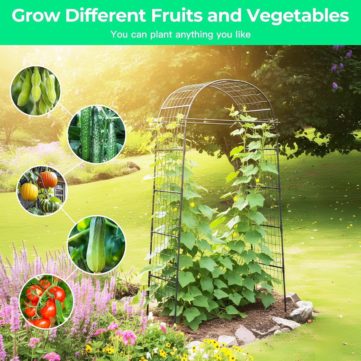 Metal Garden Arch Plant Trellis