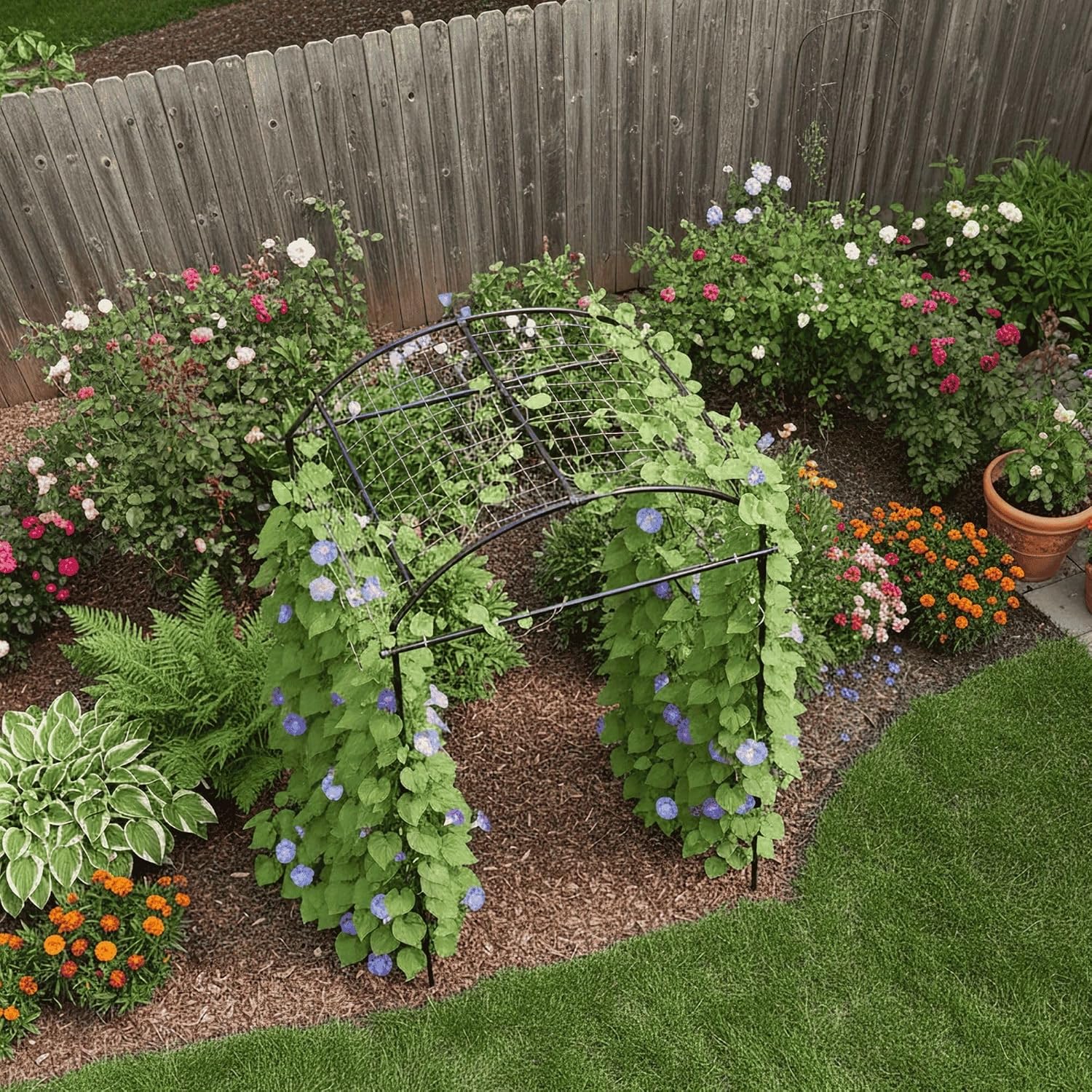 Tall Metal Plant Climbing Garden Arch